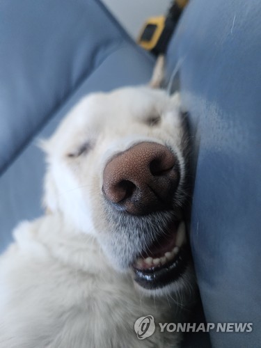 Zzzz...