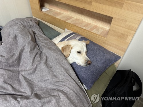 마을이
